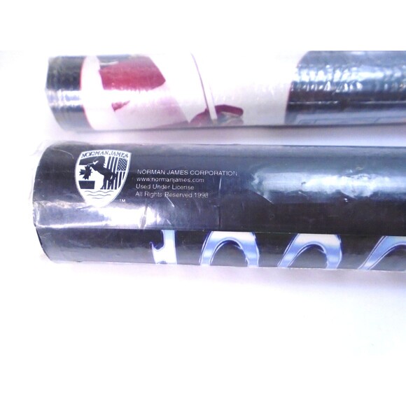 Vintage Detroit Red Wings NHL Original 1997-98 Stanley Cup Champs Posters Lot x2 - Picture 6 of 10